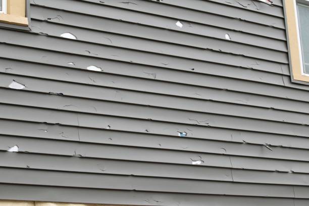 Best Custom Trim and Detailing for Siding  in Addis, LA